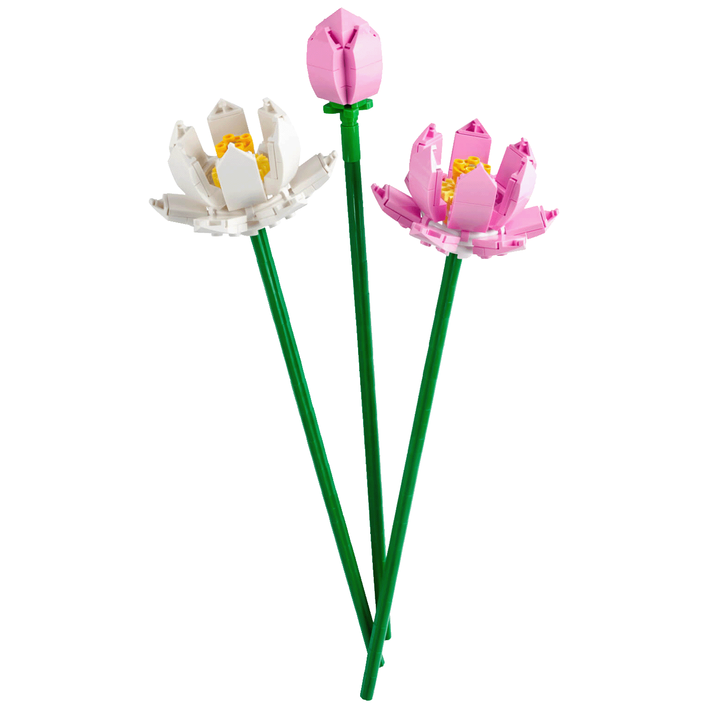 6830bfd73017c513db1912df