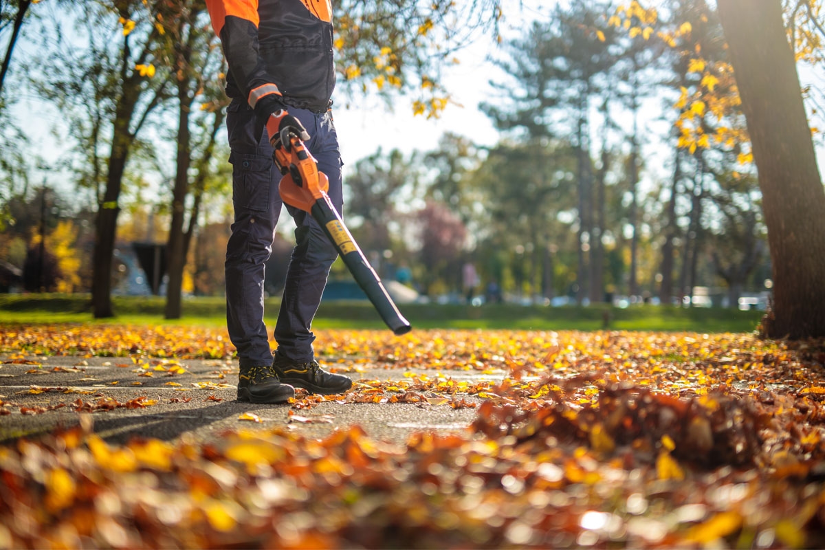 69147eca8baee29d8b75ddae