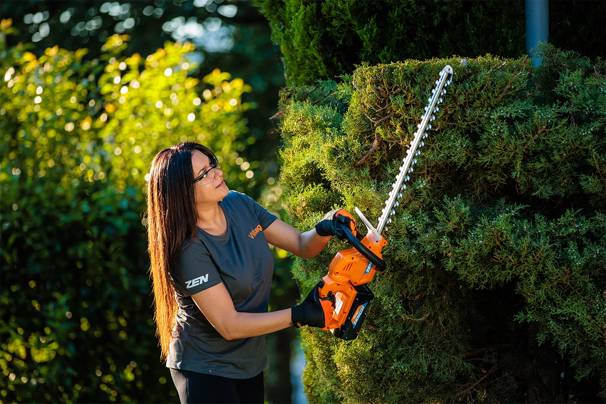 69147efe8baee29d8b7610b7