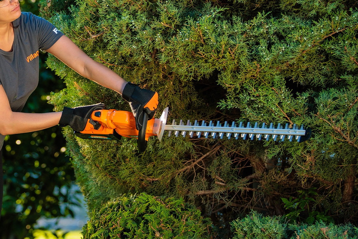 69147efe8baee29d8b7610be