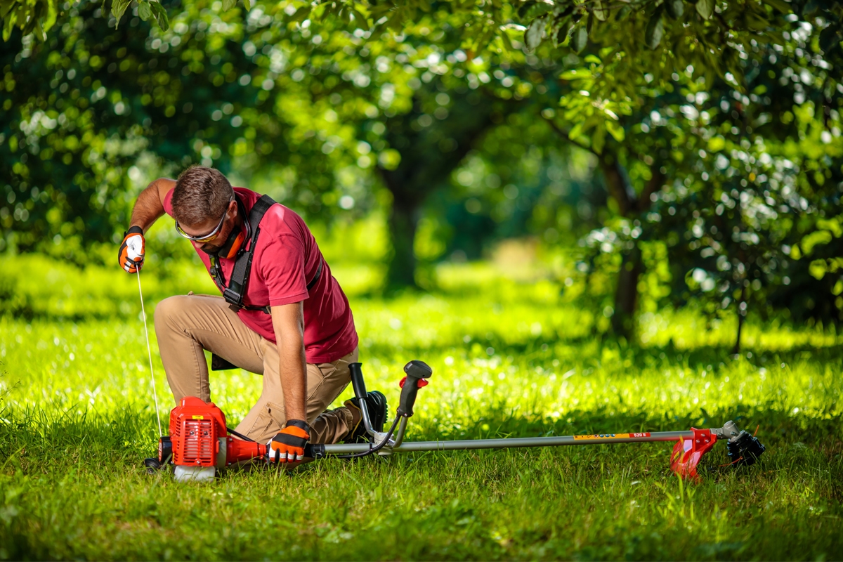 69147f3e8baee29d8b765752