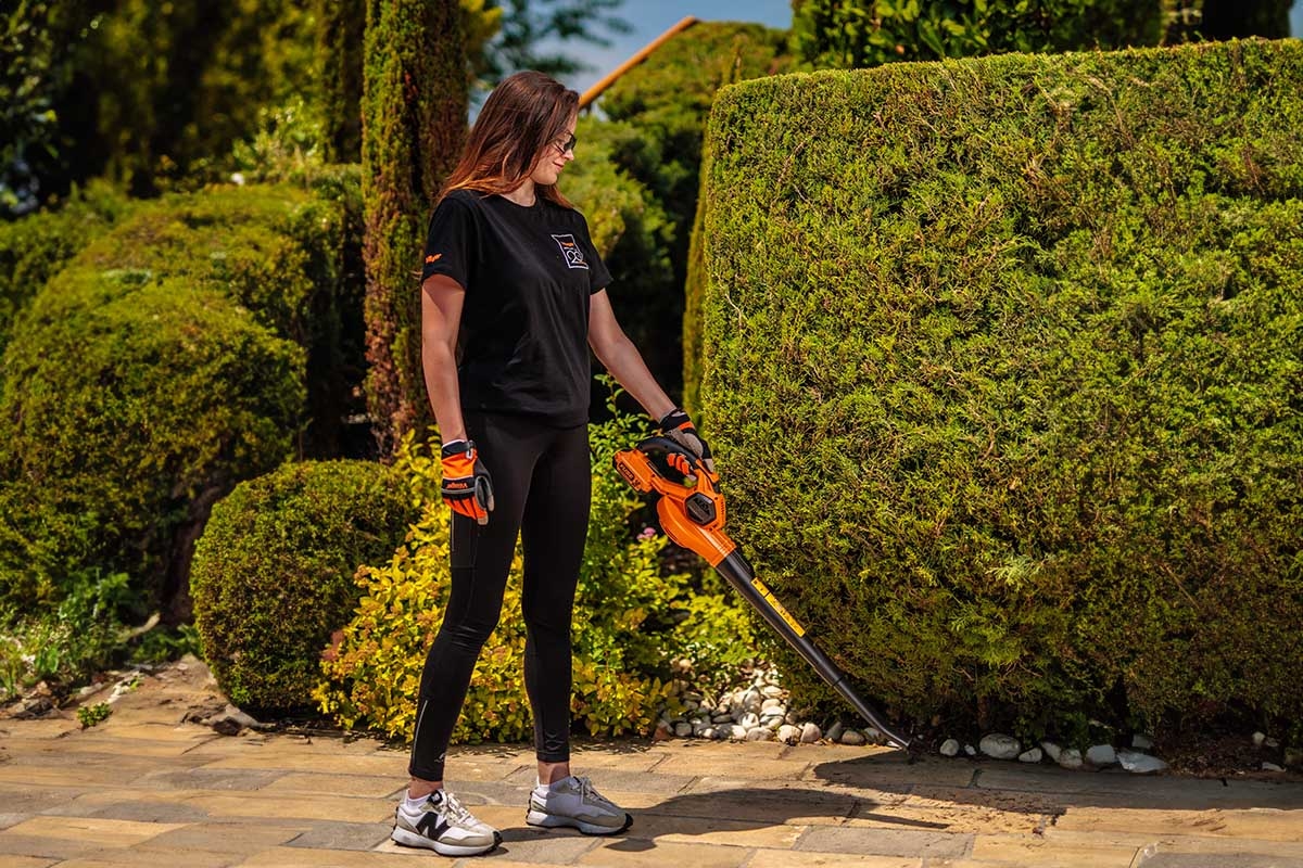 69147fe38baee29d8b7740e9