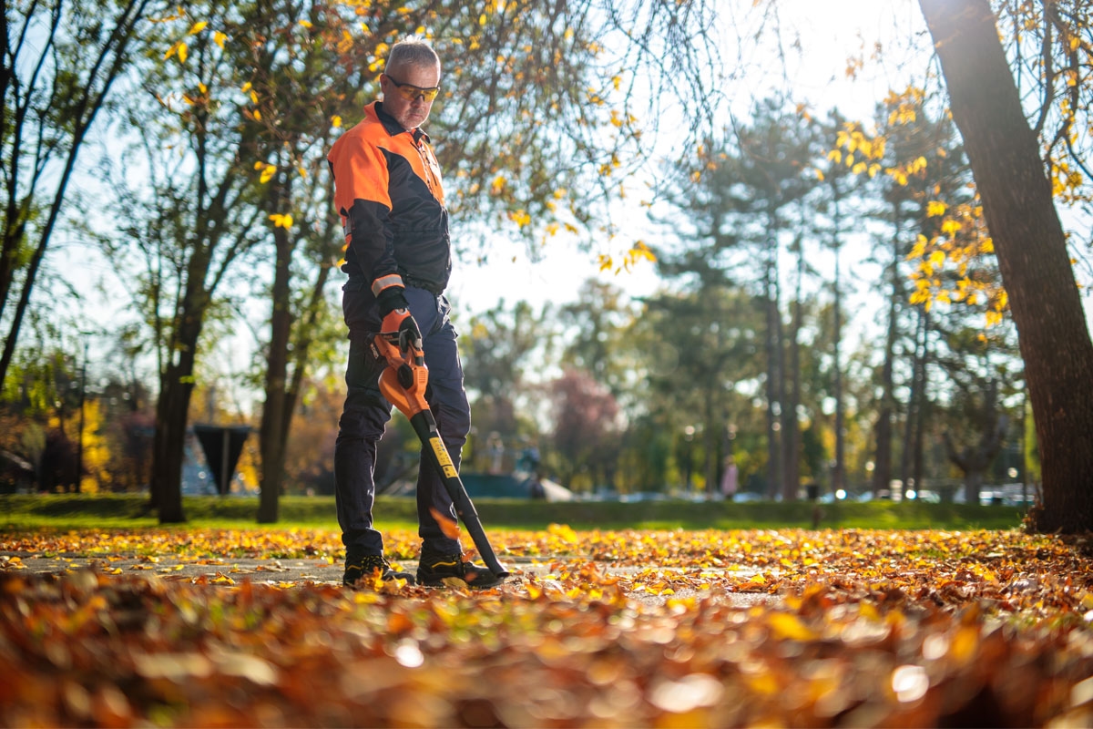 69147fe38baee29d8b7740f3