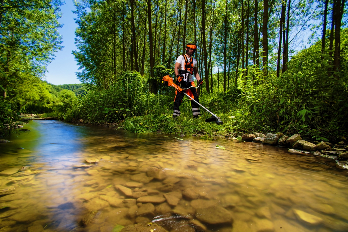 69147ff78baee29d8b774cb6