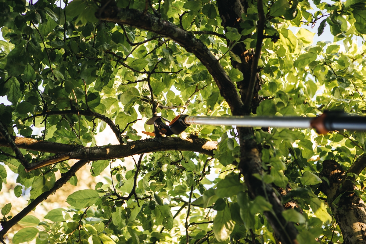 691480478baee29d8b77901b