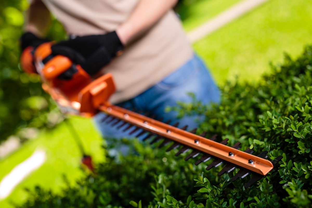 691480598baee29d8b779dc9