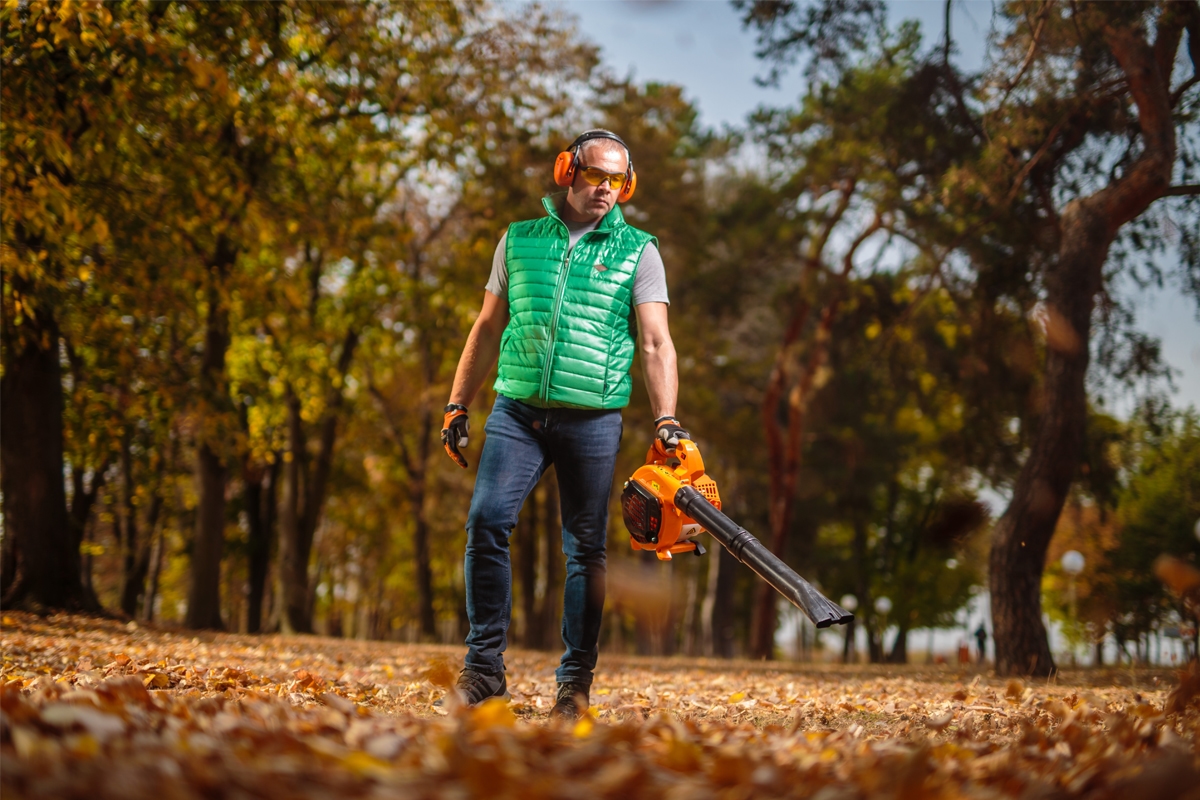 691480618baee29d8b77a5b6