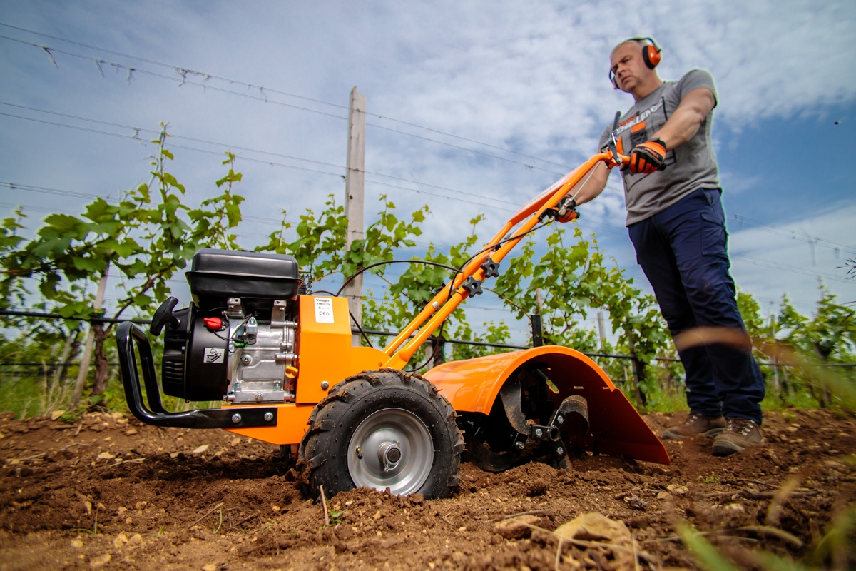 691480668baee29d8b77a906