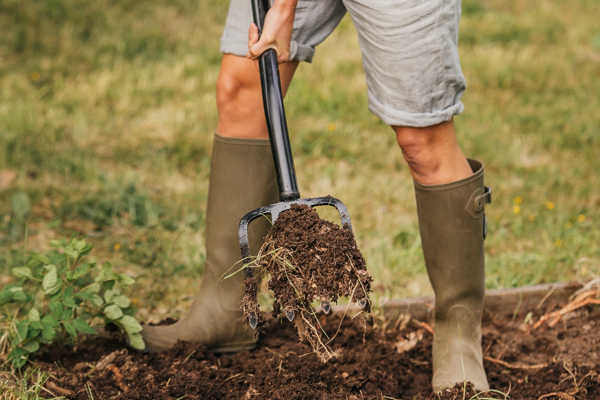 691480b18baee29d8b77ef78