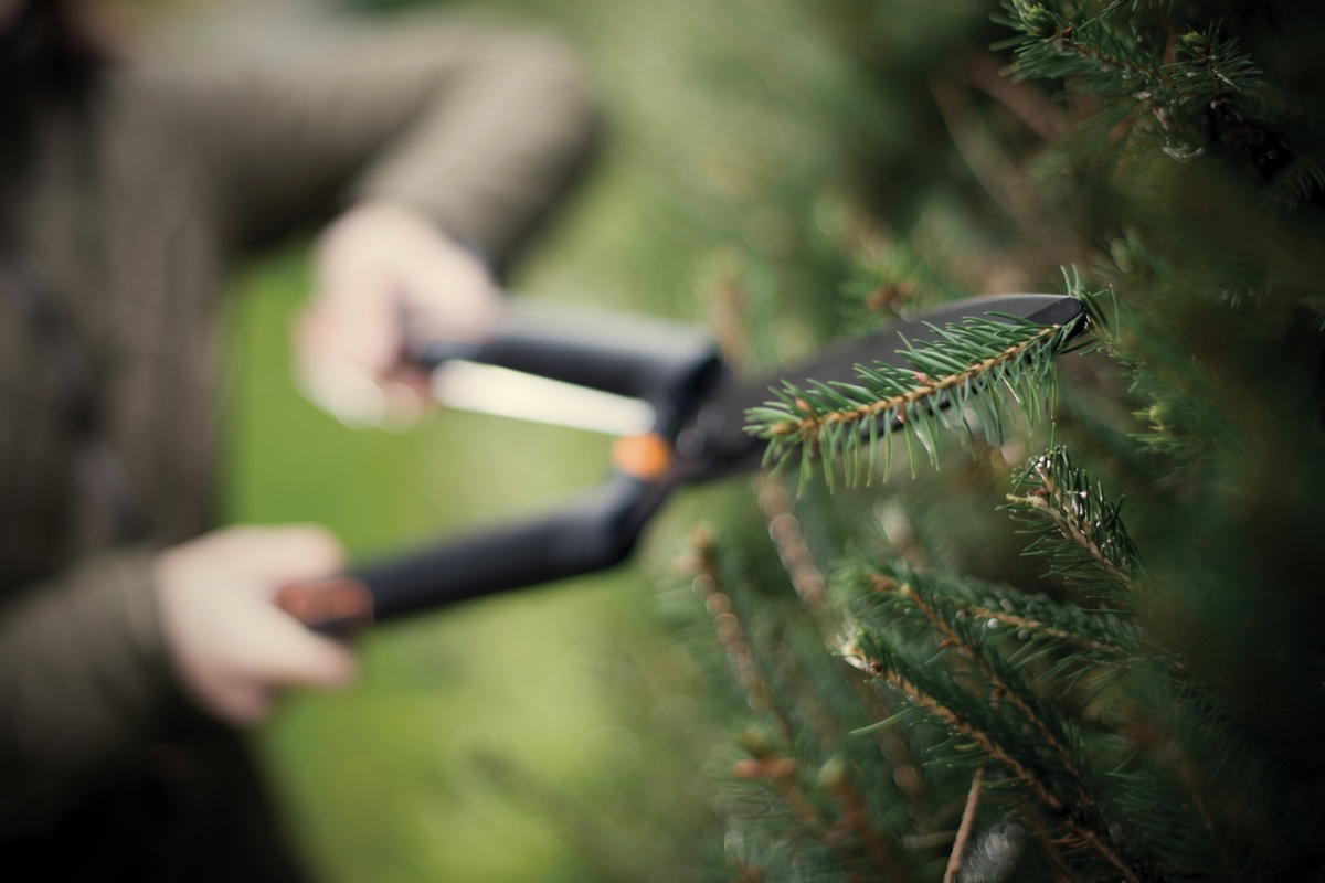 691480b18baee29d8b77efa7