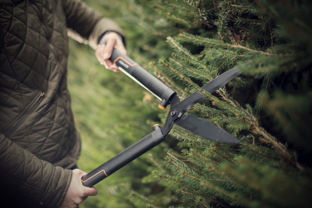 691480b18baee29d8b77efac