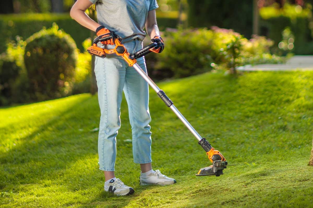 691480d08baee29d8b780803