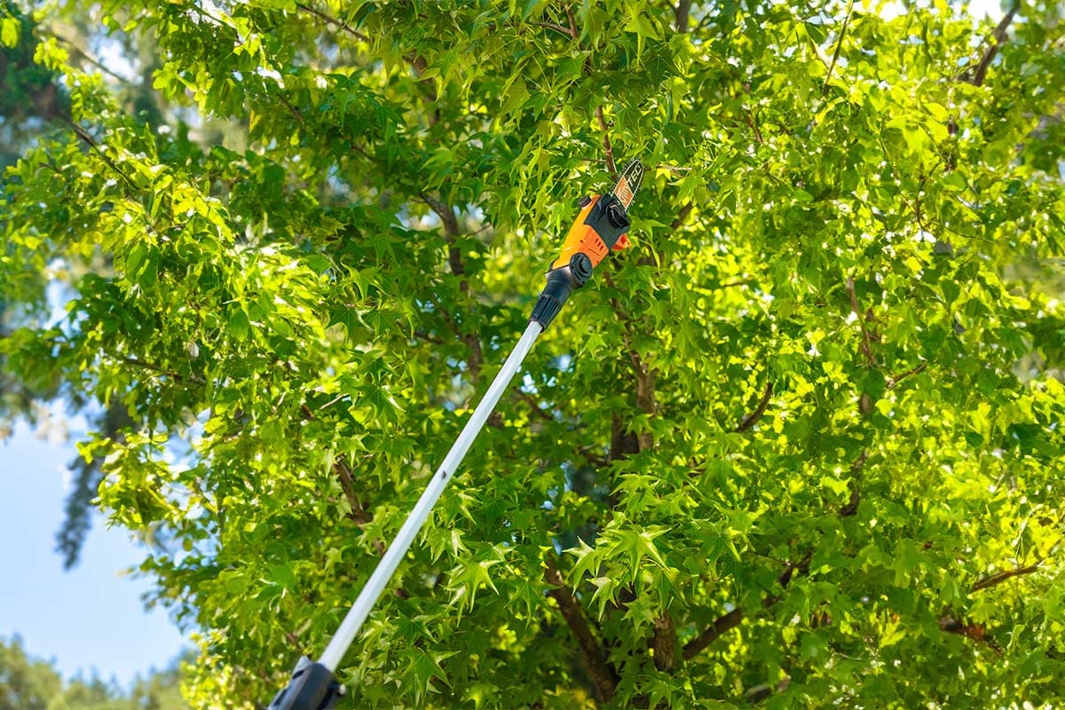 6914811e8baee29d8b7831ee