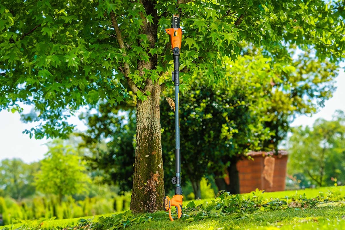 6914811e8baee29d8b7831fc