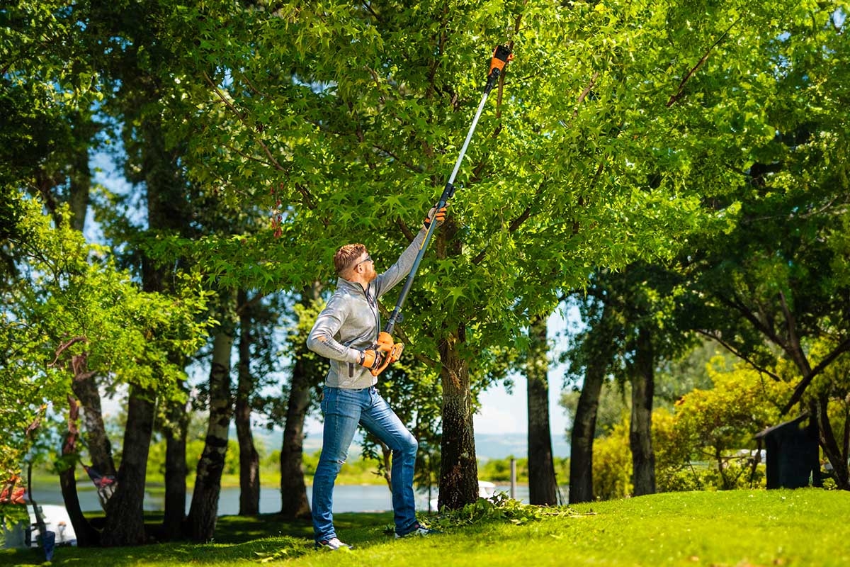 6914811e8baee29d8b783209