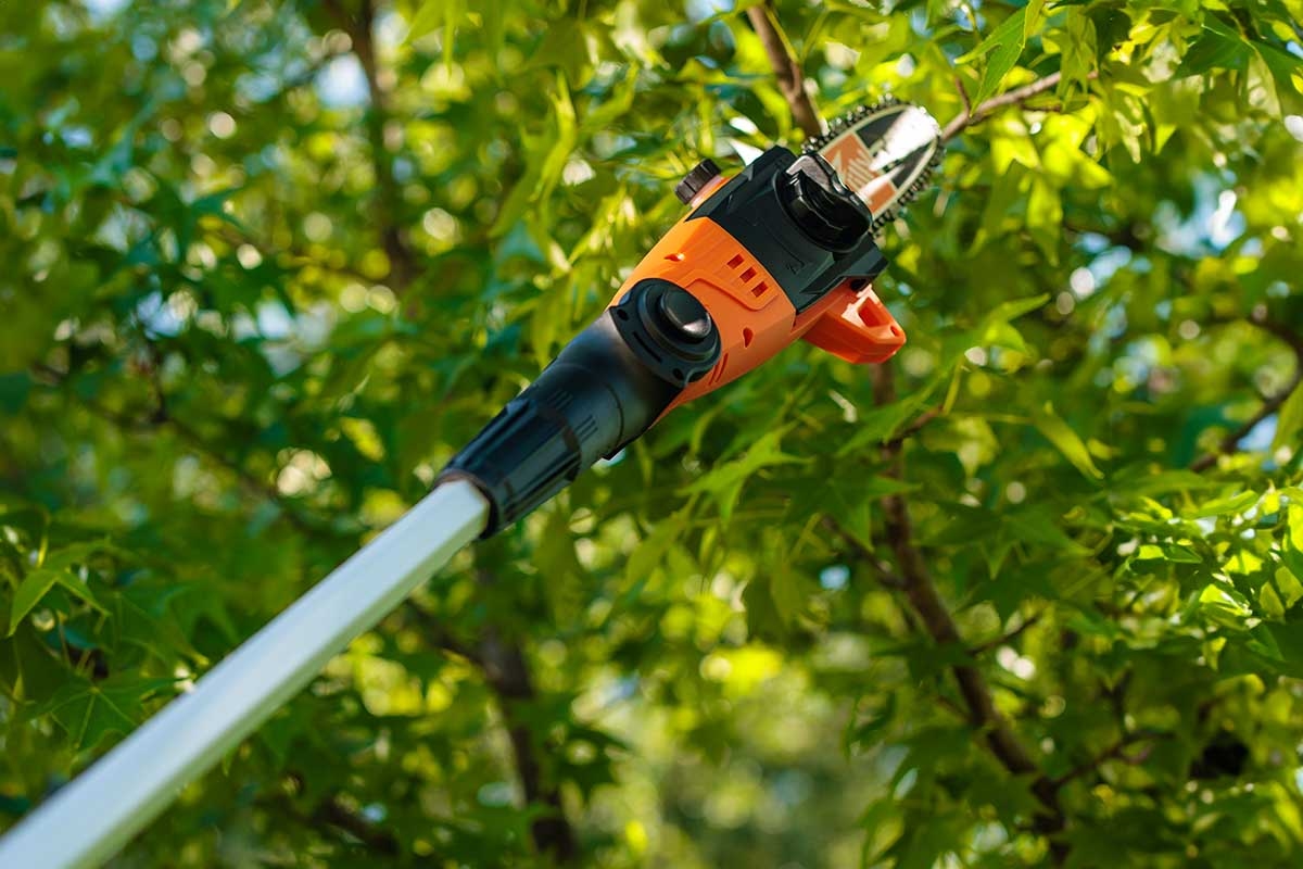 6914811f8baee29d8b783217