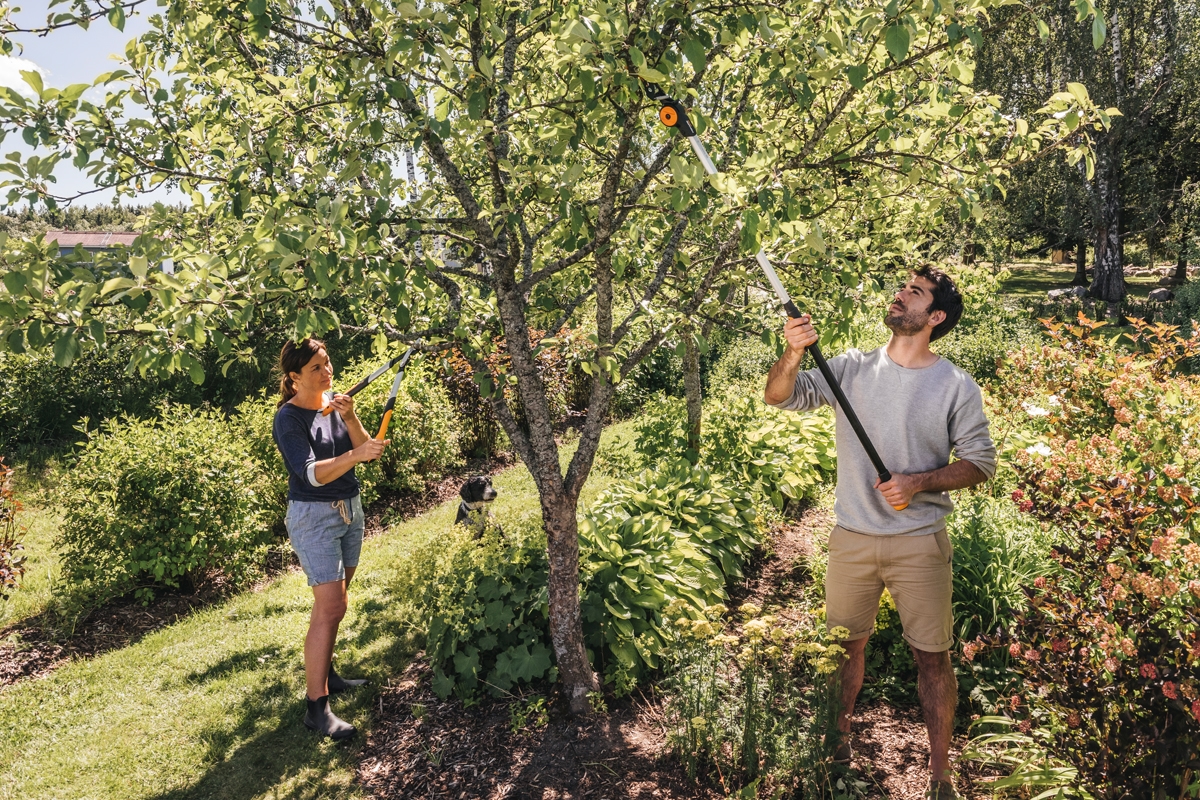 6914815d8baee29d8b7861e3