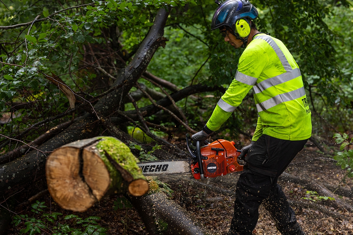 691481638baee29d8b786741