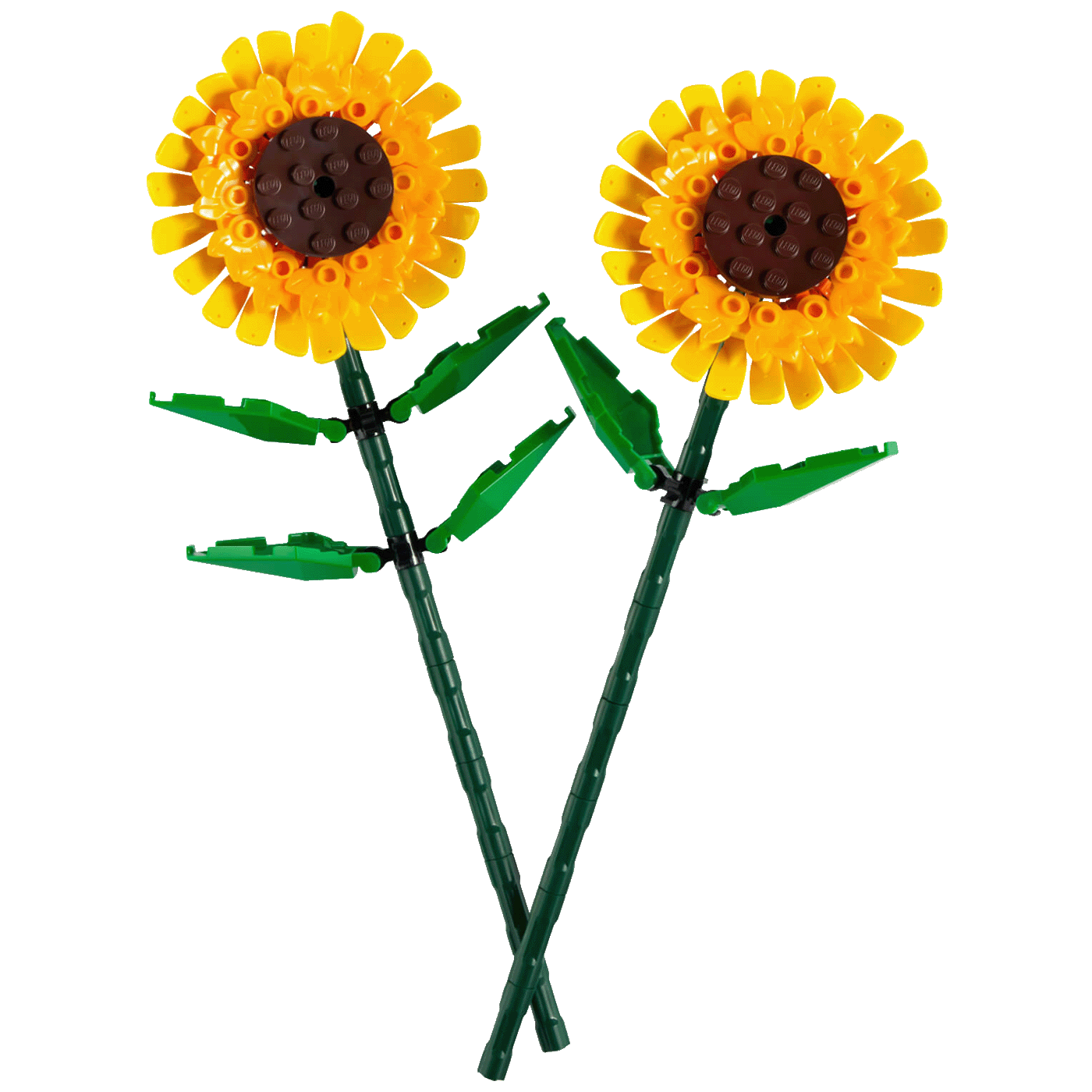 6916a44264bb6fb924de14f6