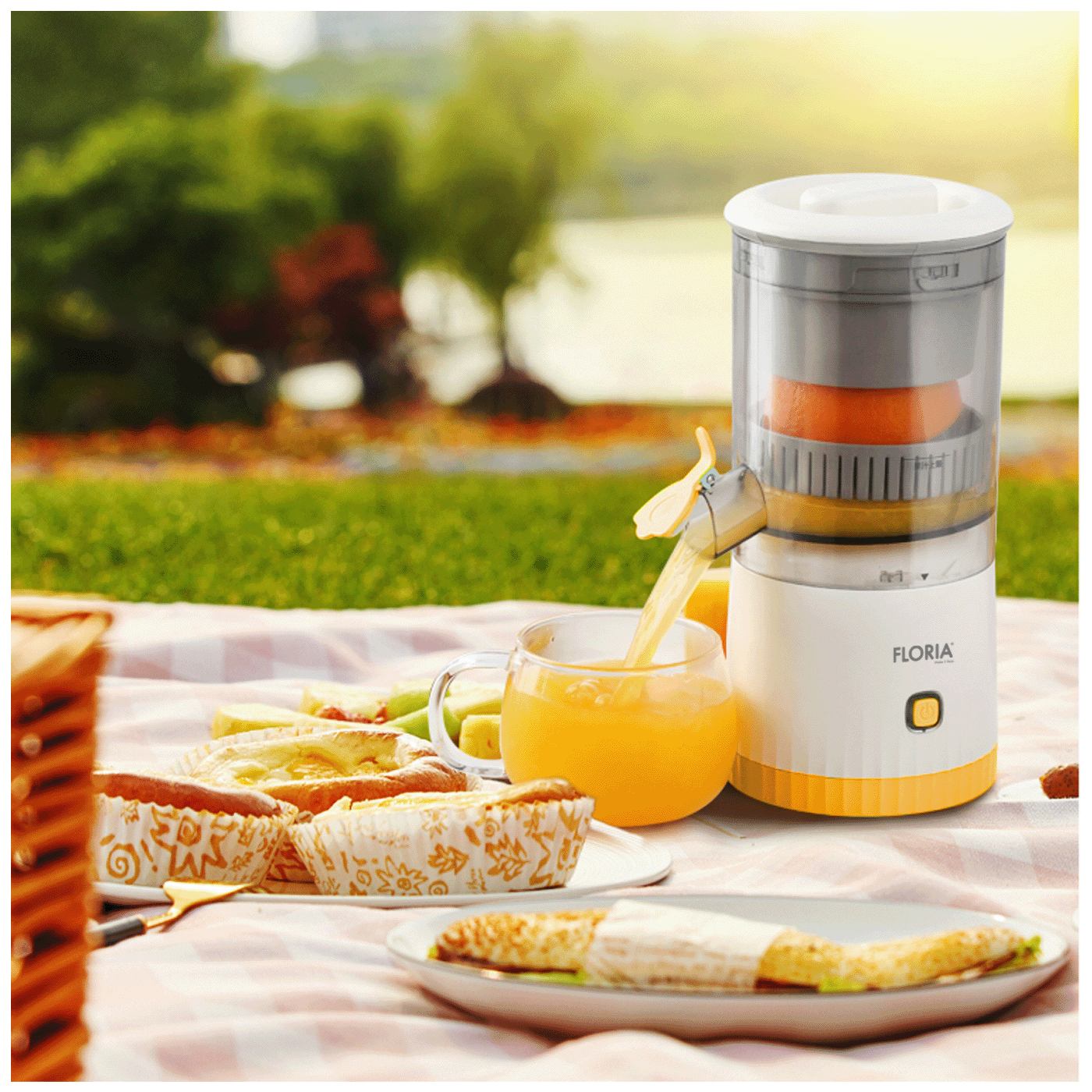 698bfb963ae109846f13ecaa