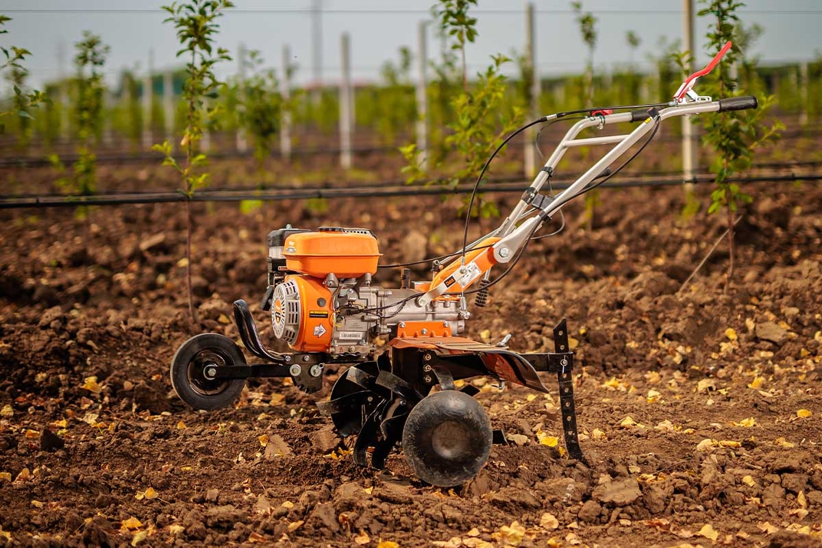 69147ea58baee29d8b75aefb