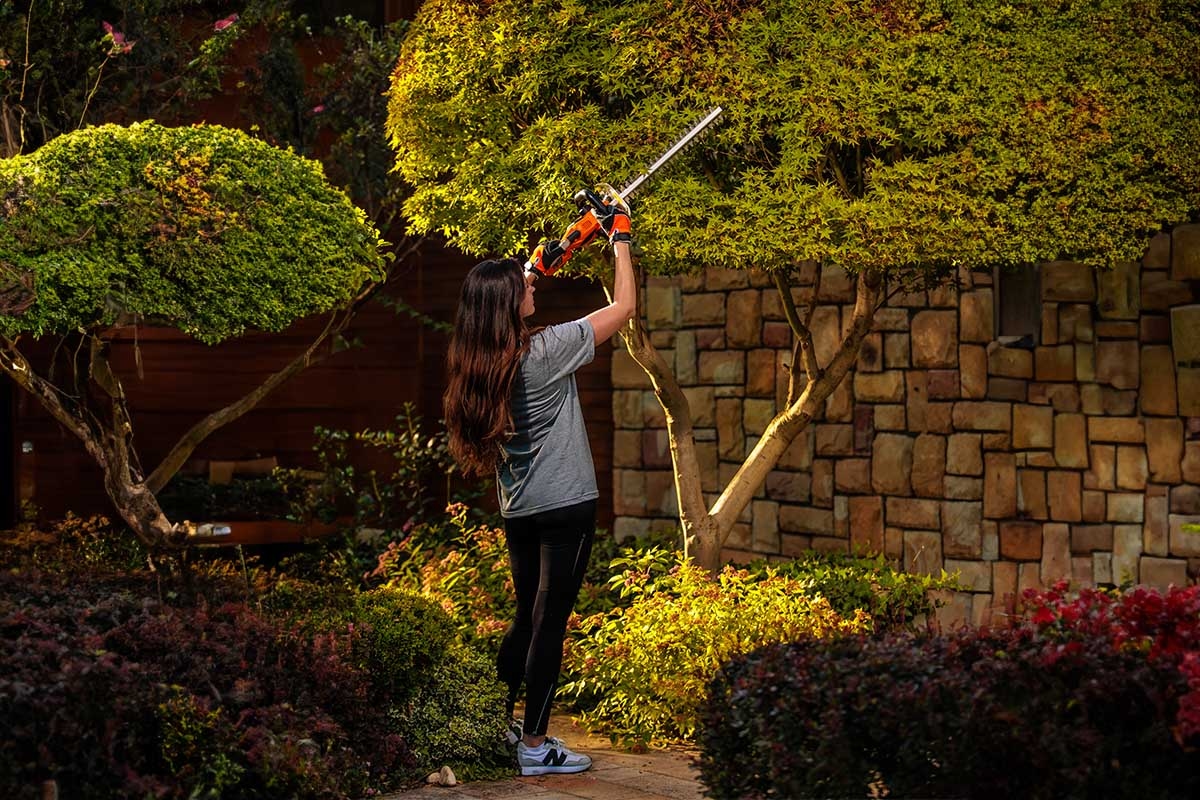 69147eca8baee29d8b75de48