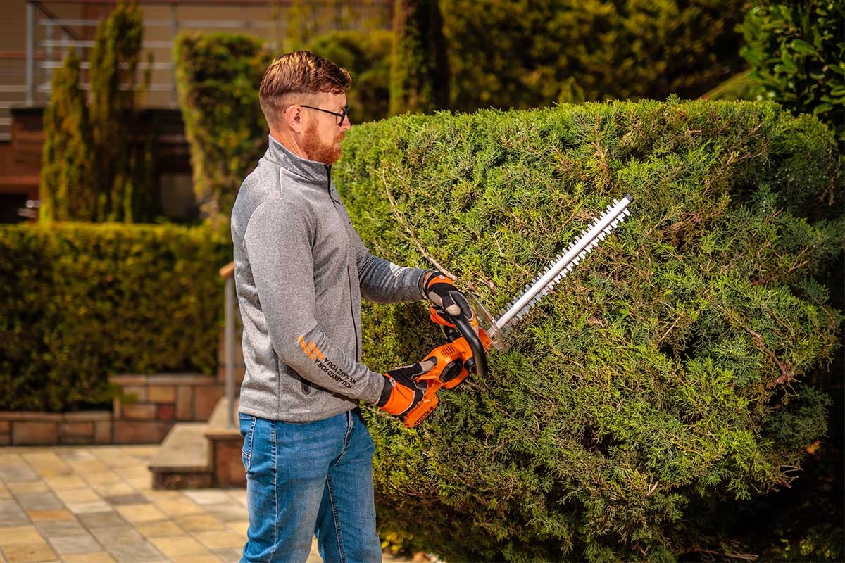 69147ecb8baee29d8b75de73