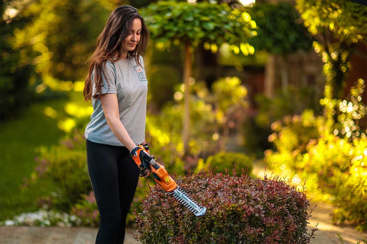 69147fd48baee29d8b7732a3