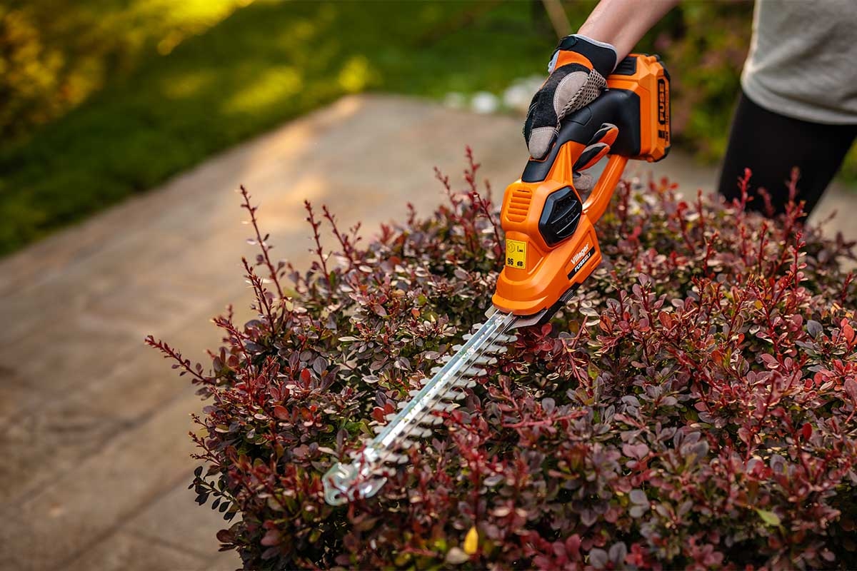 69147fd48baee29d8b7732b9