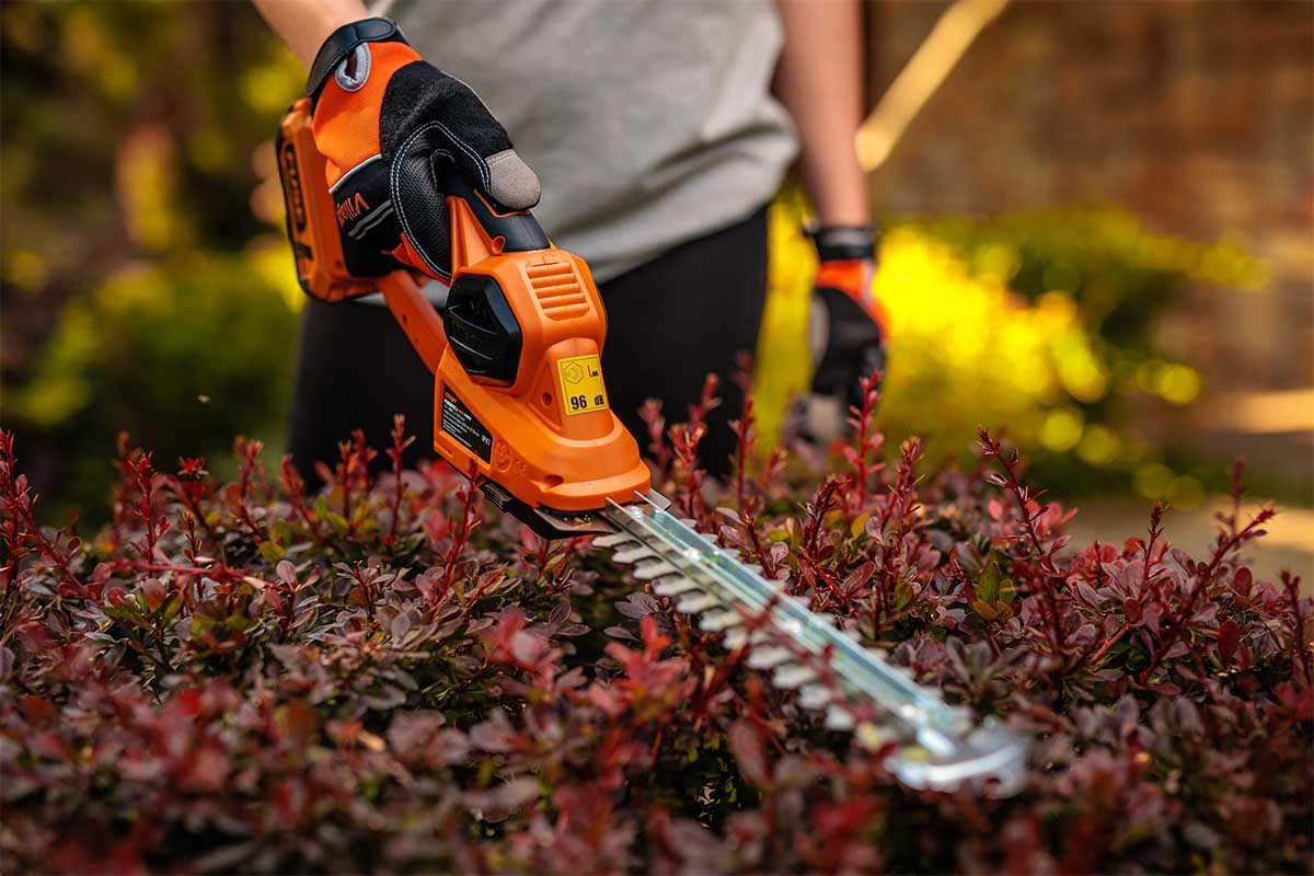 69147fd48baee29d8b7732c0