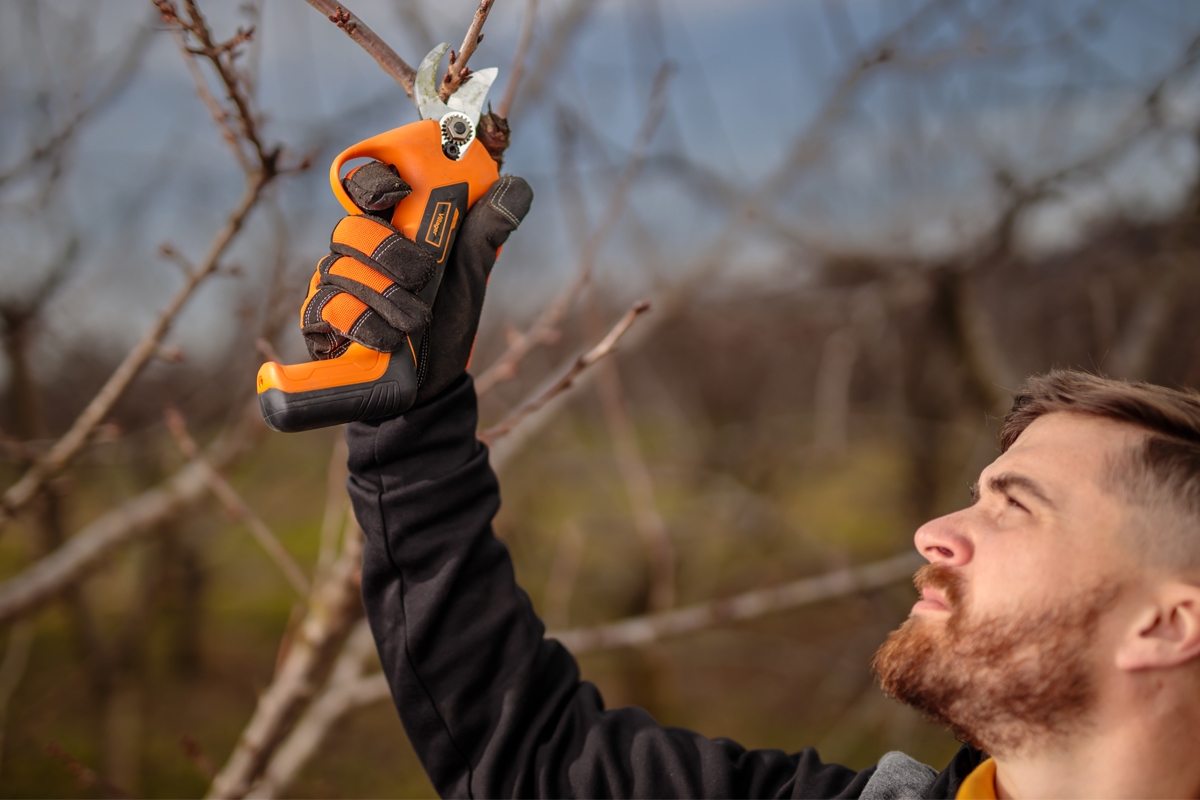 69147fe48baee29d8b77416b