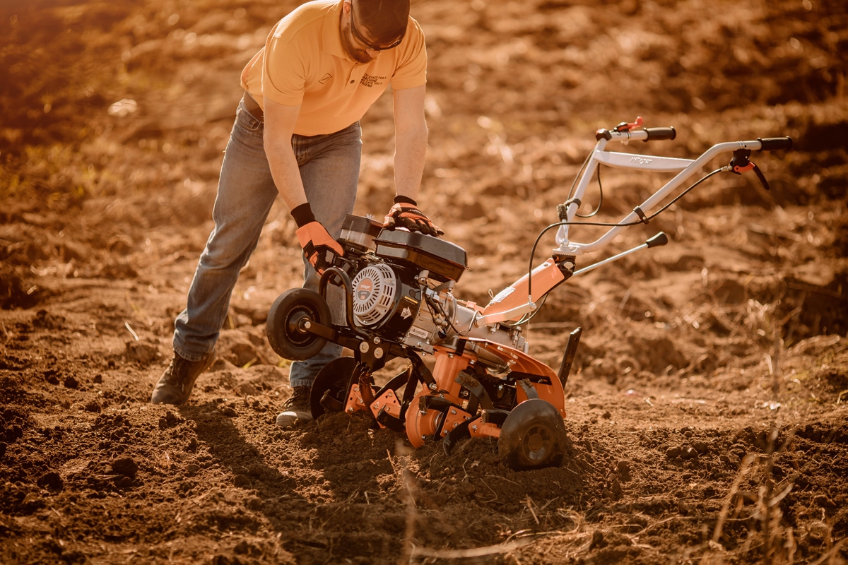 69147fe98baee29d8b77446b