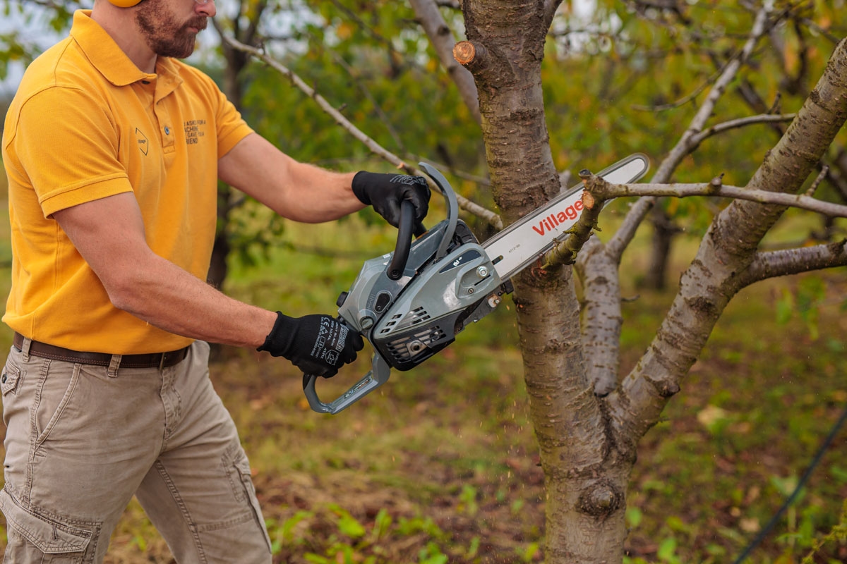 69147ff48baee29d8b774b00