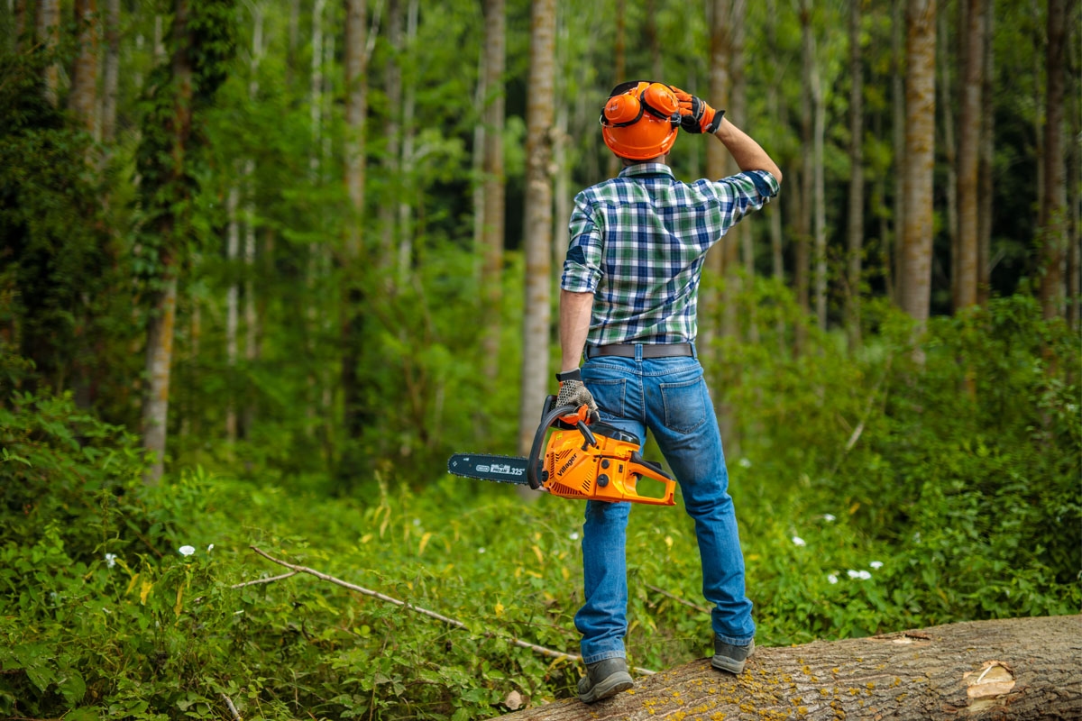 69147ff68baee29d8b774c51