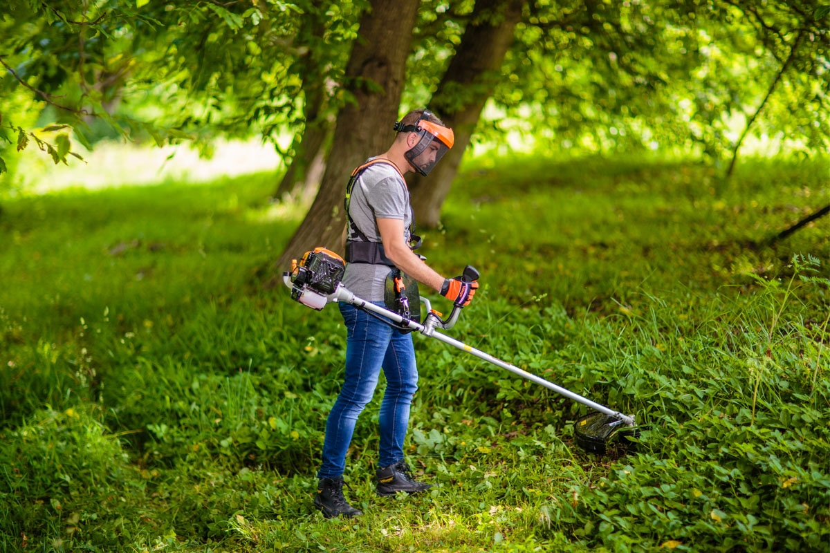 69147ff88baee29d8b774db9