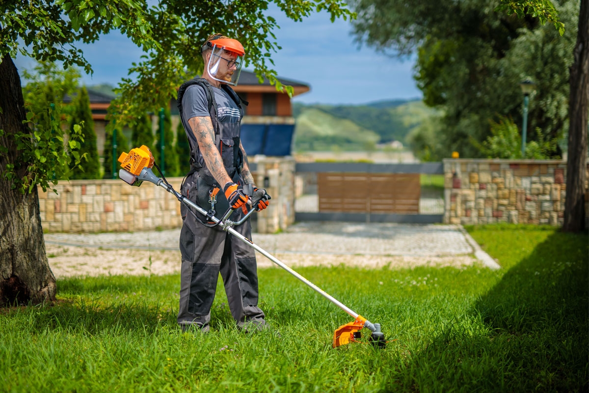 69147ff98baee29d8b774e02