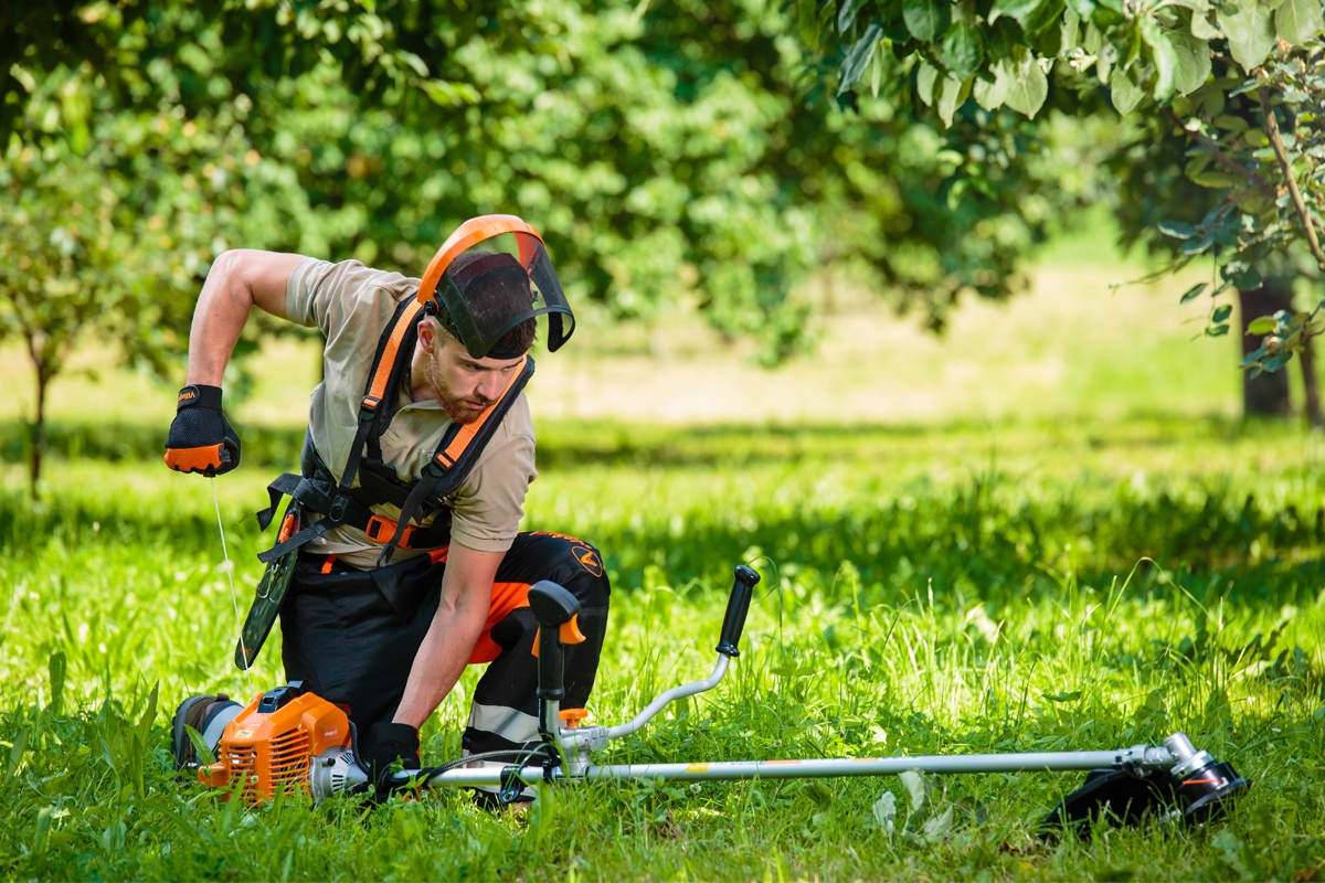 69147ffa8baee29d8b774f43