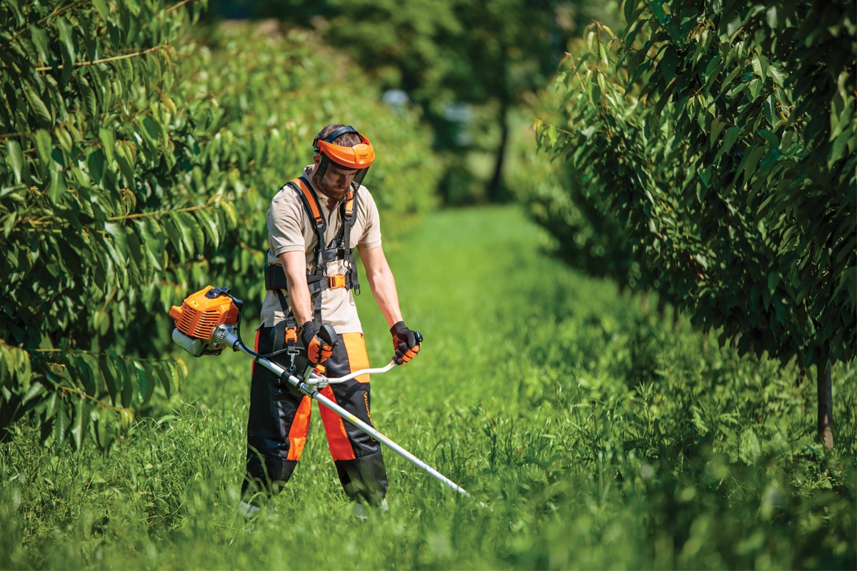 69147ffa8baee29d8b774f80