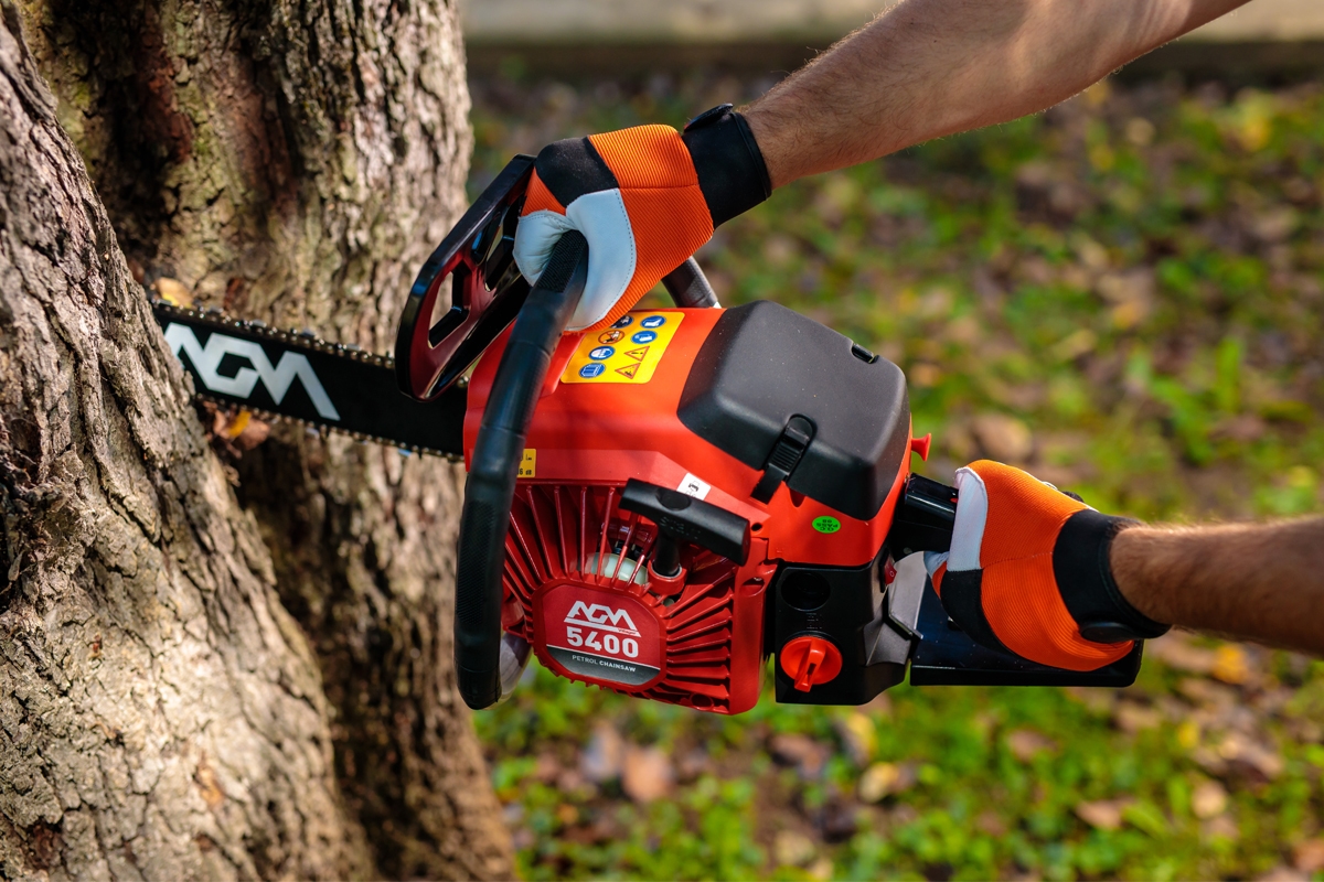 691480238baee29d8b777119