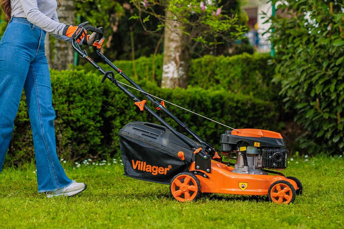 691480338baee29d8b777e0c