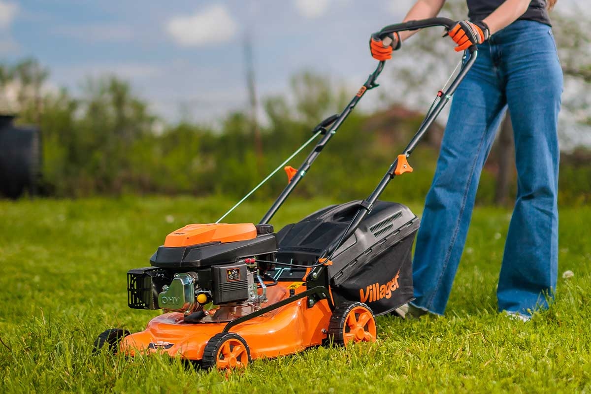 691480338baee29d8b777e11