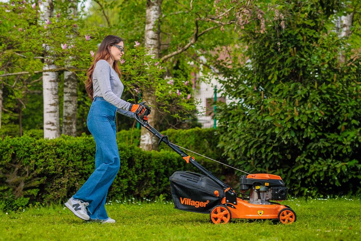 691480338baee29d8b777e1b