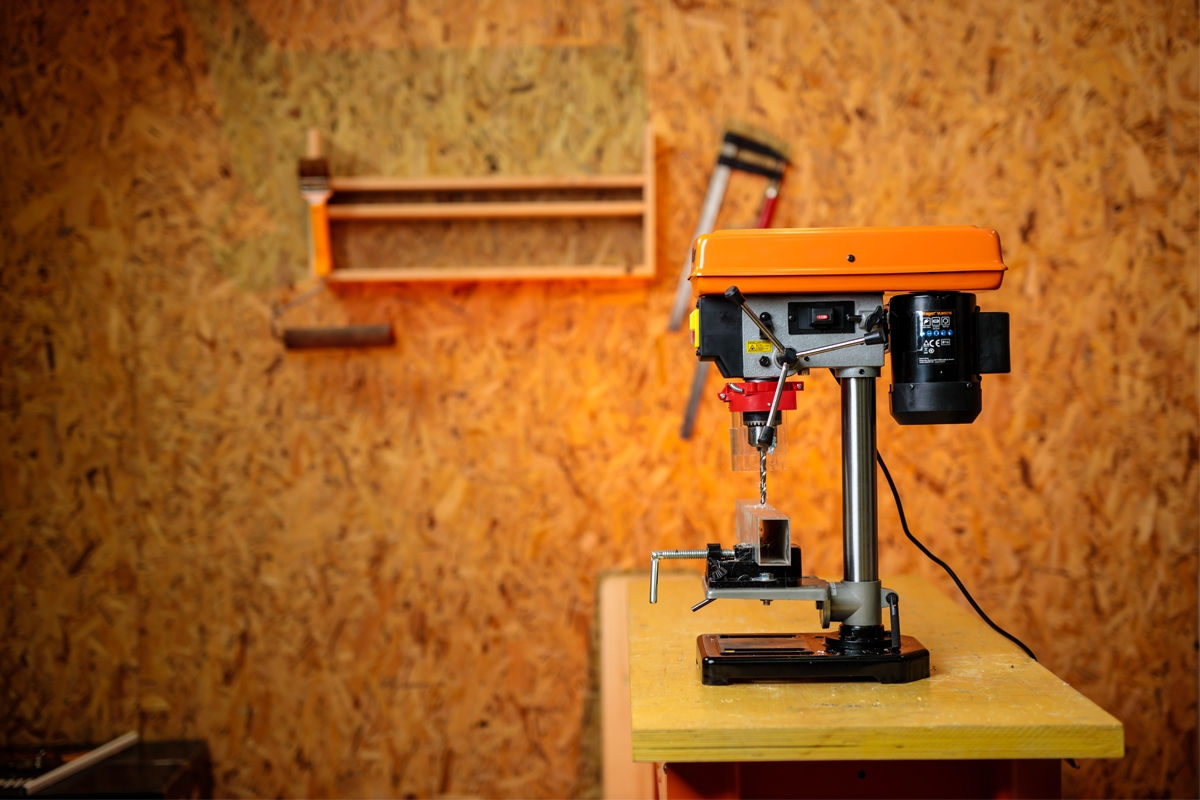 691480558baee29d8b779b36