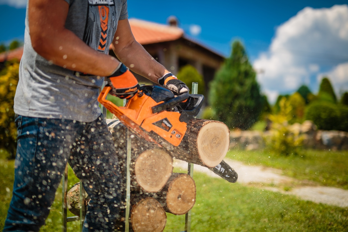 6914809e8baee29d8b77dd15