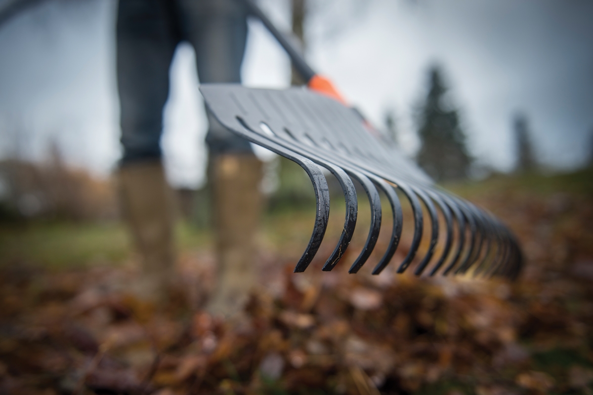 691480af8baee29d8b77ee8e