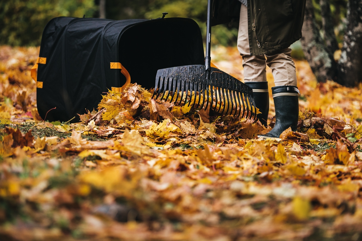 691480b08baee29d8b77eeb8