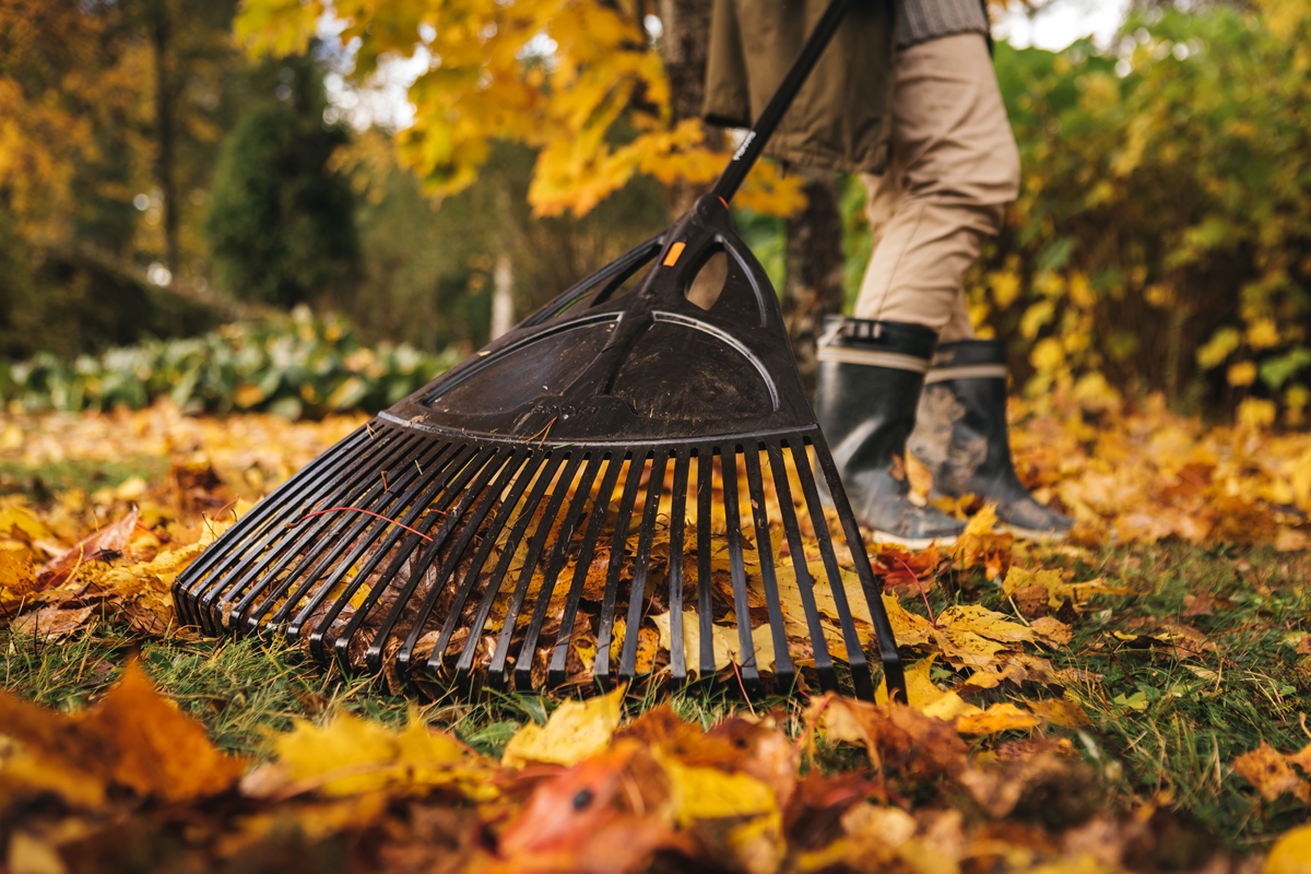 691480b08baee29d8b77eeff