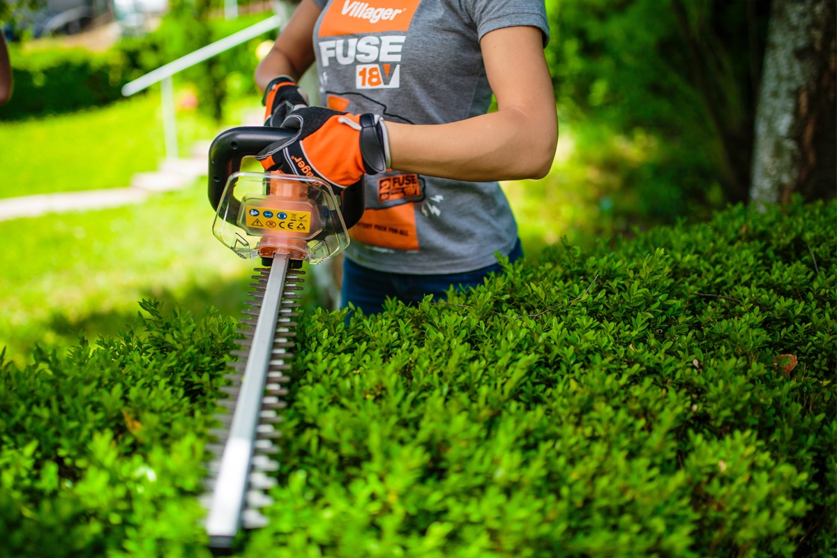 691480cb8baee29d8b780562