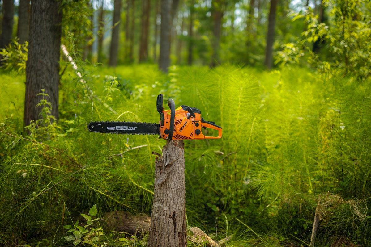 6914810c8baee29d8b78253d