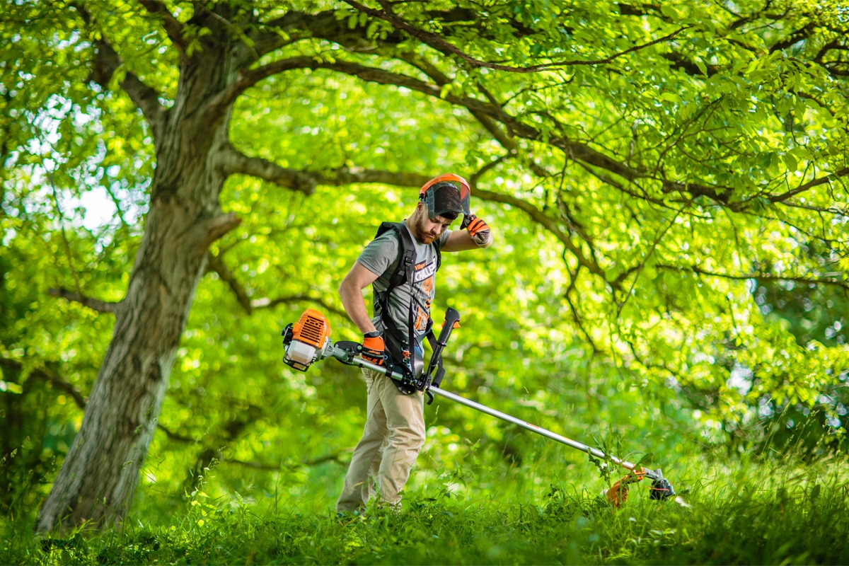 691481688baee29d8b786b06